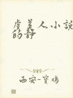 虞美人小说秋天的静