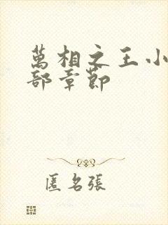 万相之王小说全部章节