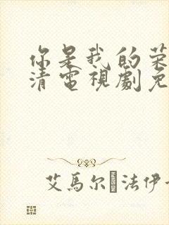 你是我的荣耀高清电视剧免费观看