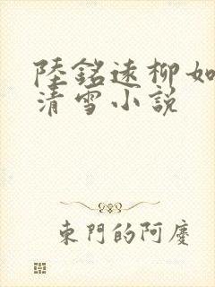 陆铭远柳如烟沈清雪小说