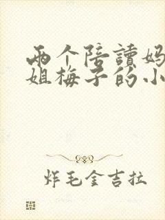 两个陪读妈妈赵姐梅子的小说