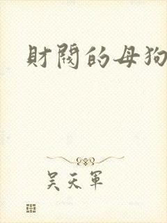 财阀的母狗们