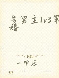 多男主1v3军婚封面