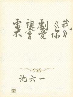 电视剧《我可能不会爱你》