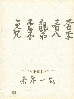 免费观看奔跑吧兄弟第八季完整版封面