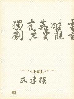 独有英雄 电视剧 免费观看封面