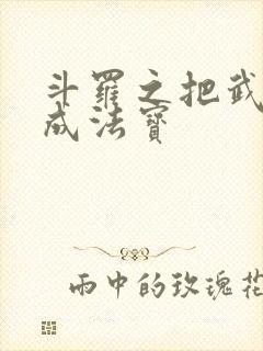 斗罗之把武魂练成法宝