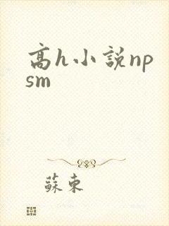高h小说np sm