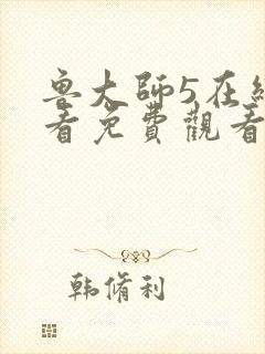 鲁大师5在线观看免费观看电视剧封面