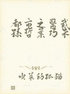 都市之医武风流孙哲叶巧朱颜