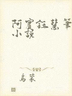 阿宾钰慧笔趣阁小说