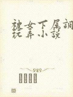 被女下属调教h玩弄小说封面