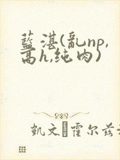 蓝湛(乱np,高h,纯肉)