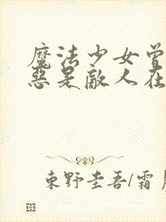 魔法少女曾经与恶是敌人在线观看