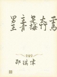 男主是太子和女主青梅竹马的小说封面