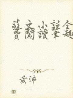 苏文小说全文免费阅读笔趣阁