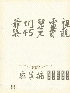 爷们儿电视剧全集45免费观看