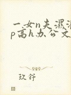 一女n夫湿润np高h办公文