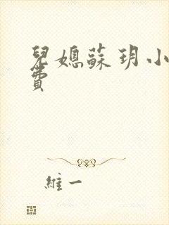 儿媳苏玥小说免费