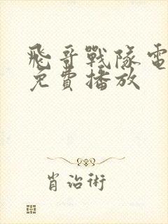 飞哥战队电视剧免费播放封面