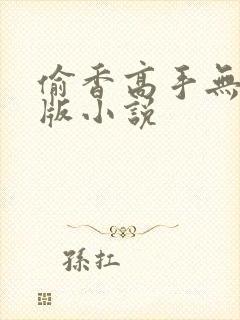 偷香高手无删减版小说