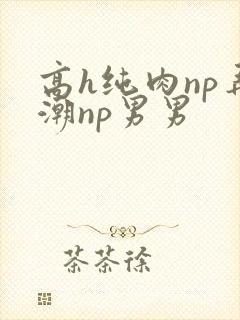 高h纯肉np弄潮np男男