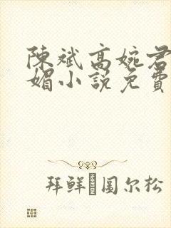 陈斌高婉君赵心媚小说免费阅读