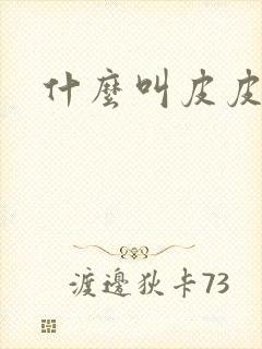 什么叫皮皮封面