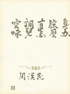 空调有股臭袜子味儿怎么办