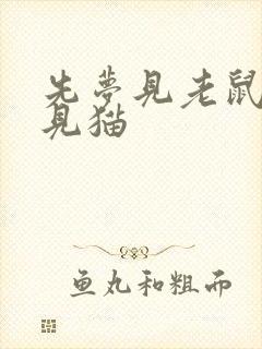 先梦见老鼠后梦见猫