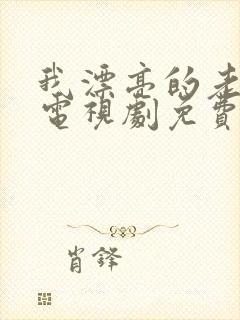 我漂亮的老板娘电视剧免费观看