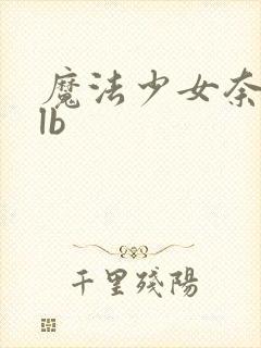 魔法少女奈叶slb封面