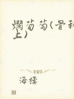 烂葡萄(骨科年上)