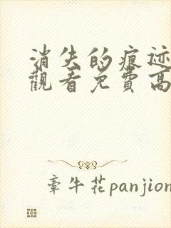 消失的痕迹在线观看免费高清封面