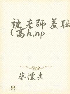 被老师羞耻调教(高h,np