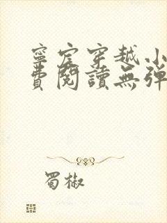 宁宸穿越小说免费阅读无弹窗全文封面