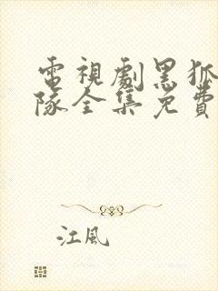 电视剧黑狐突击队全集免费观看封面