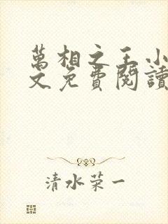 万相之王小说全文免费阅读无弹窗