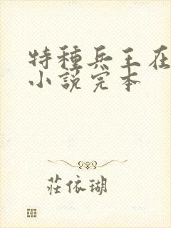 特种兵王在山村小说完本封面