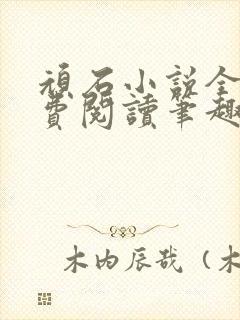 顽石小说全文免费阅读笔趣阁