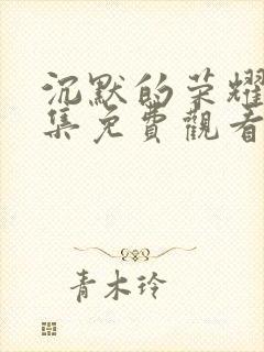 沉默的荣耀第3集免费观看