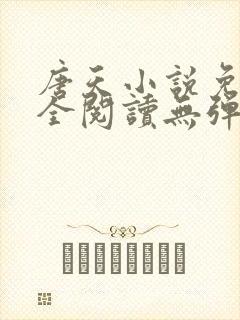 唐天小说免费大全阅读无弹窗封面