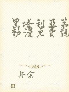 黑塔利亚第一季动漫免费观看封面