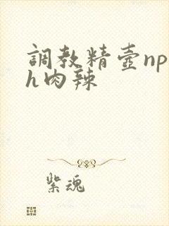 调教精壶np高h肉辣