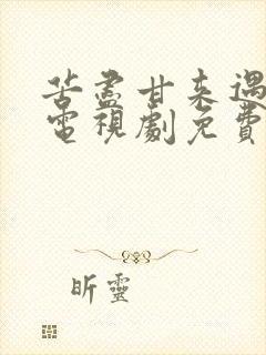 苦尽甘来遇见你电视剧免费观看全集