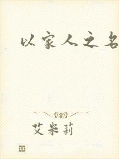 以家人之名小说封面
