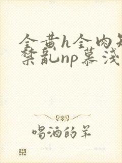 全黄h全肉短篇禁乱np慕浅浅