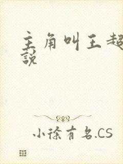 主角叫王超的小说