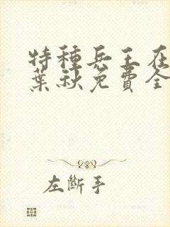 特种兵王在山村叶秋免费全文阅读封面