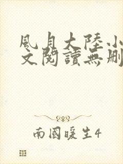 风月大陆小说全文阅读无删减